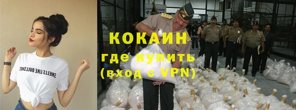 молекула духа Нягань