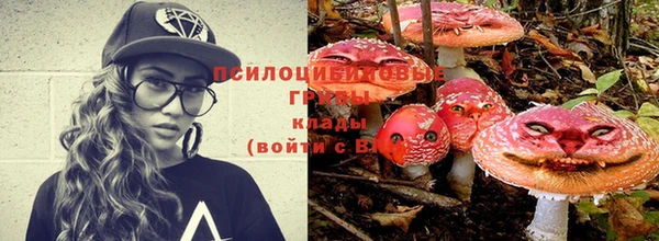 ALPHA PVP Нязепетровск