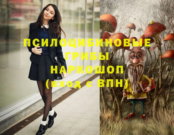 молекула духа Нягань
