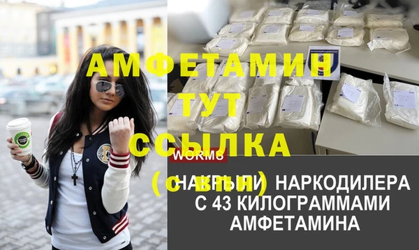 меф Няндома