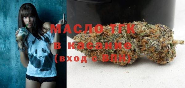 молекула духа Нягань