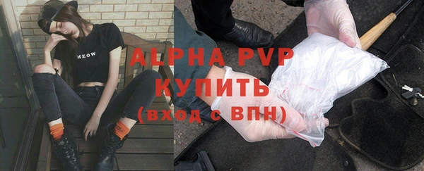 молекула духа Нягань