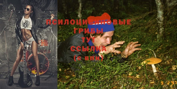 меф Няндома